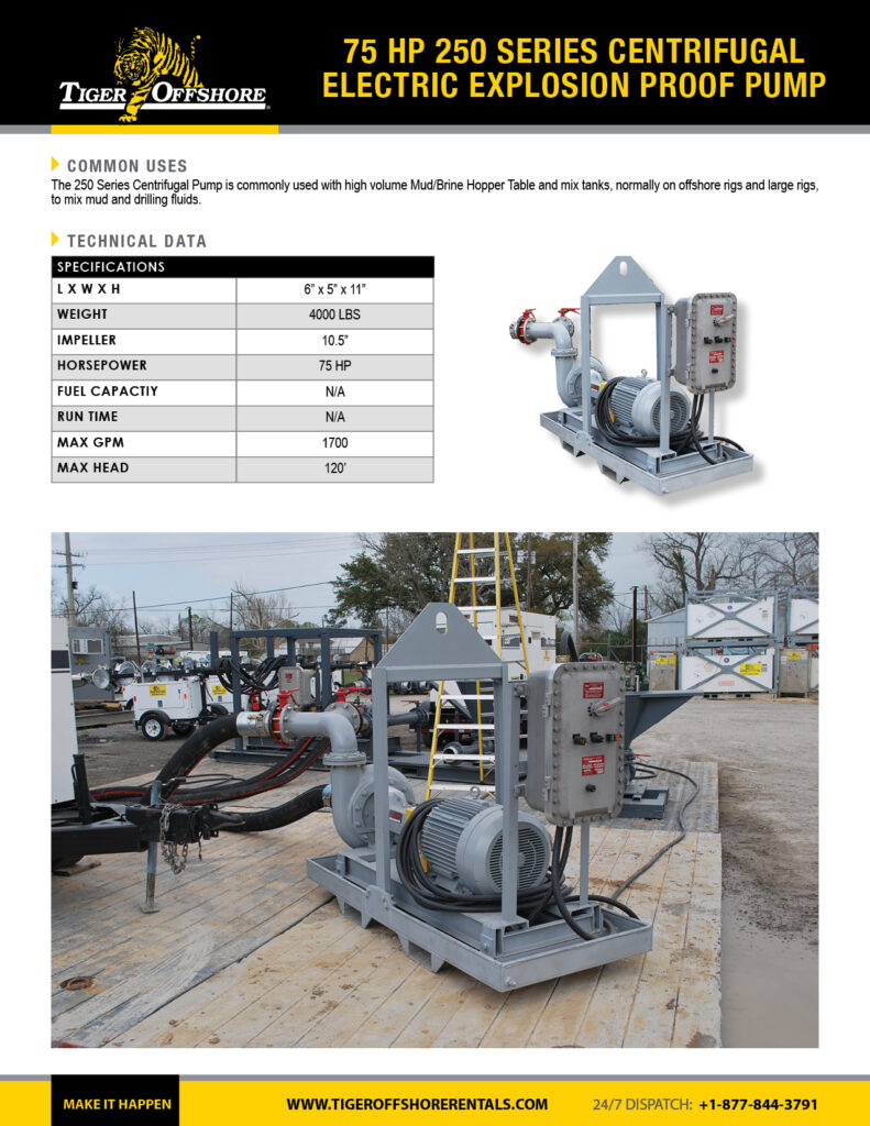 75 HP 250 Centrifugal Electric Explosion Proof Pump