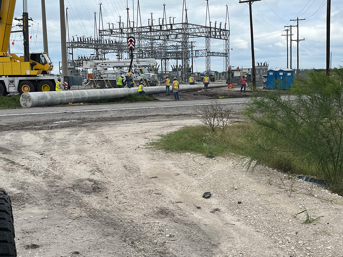 Tiger T&D Mats - Image 12