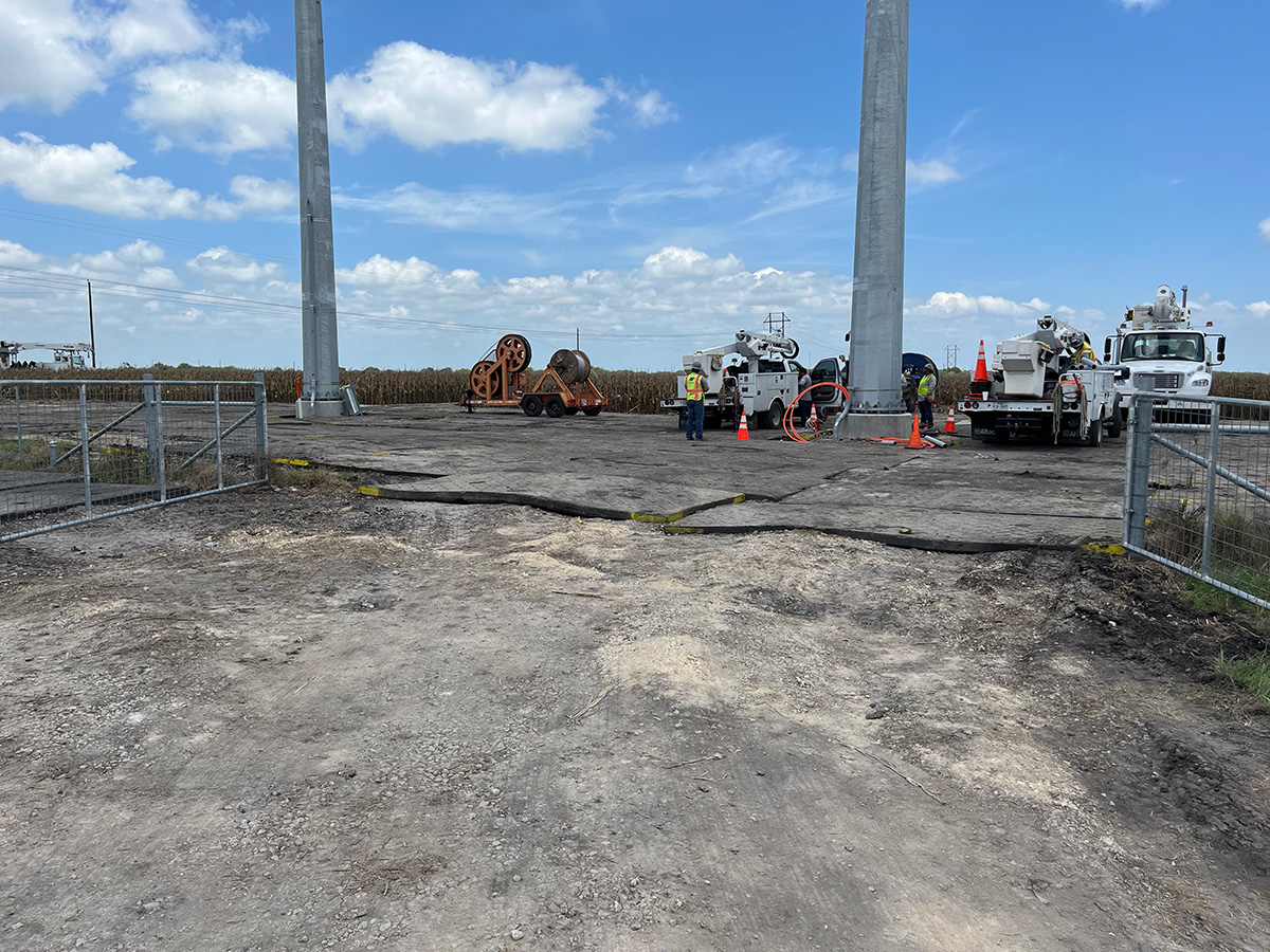 Tiger T&D Mats - Image 14