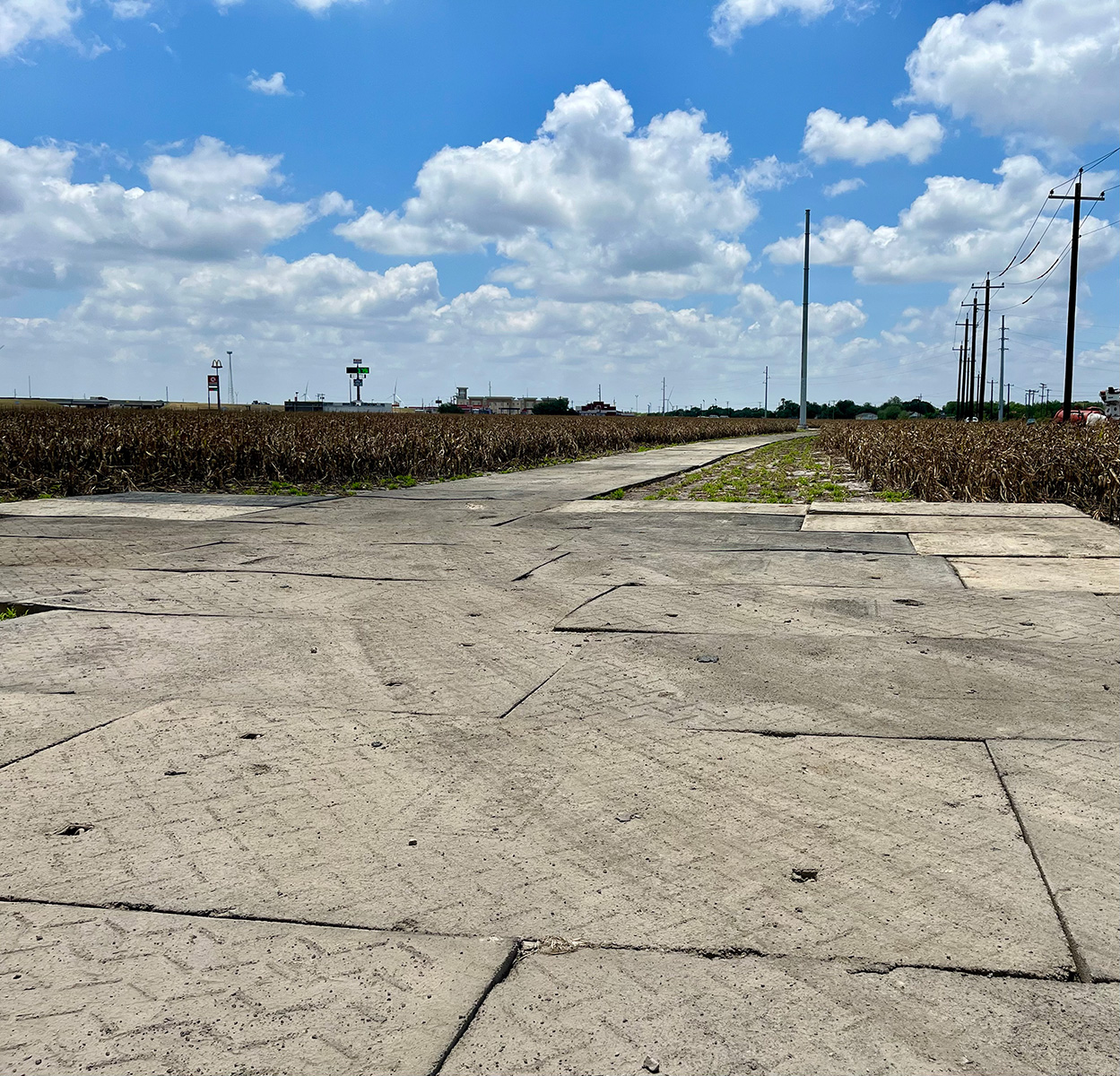 Tiger T&D Mats - Image 6